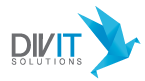 DivIT | Diverse IT Solutions and Services